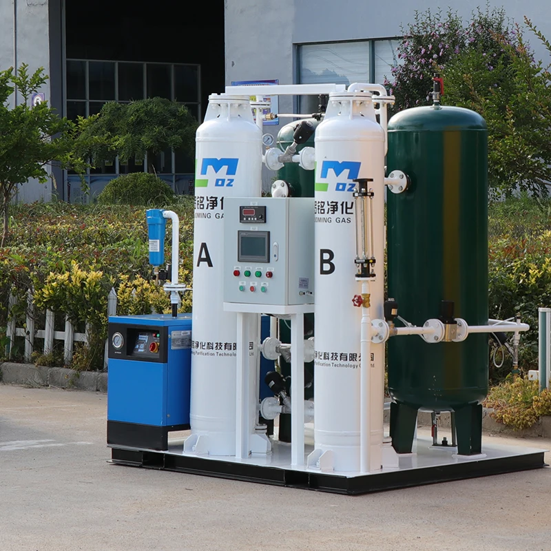 Portable Nitrogen Gas Generator Small Popular Plant N2 Equipment with PLC 1-Year Warranty New Condition