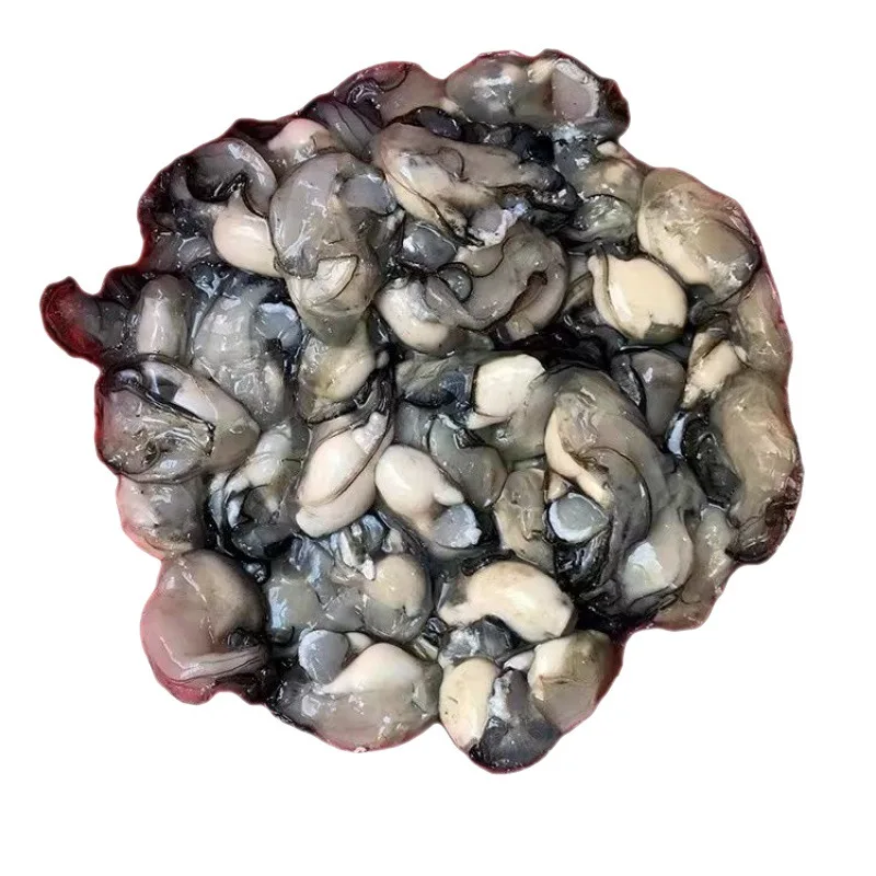 Hot selling fresh shucked oyster meat high quality delicious frozen seafood factory wholesale price nutritious oyster meat