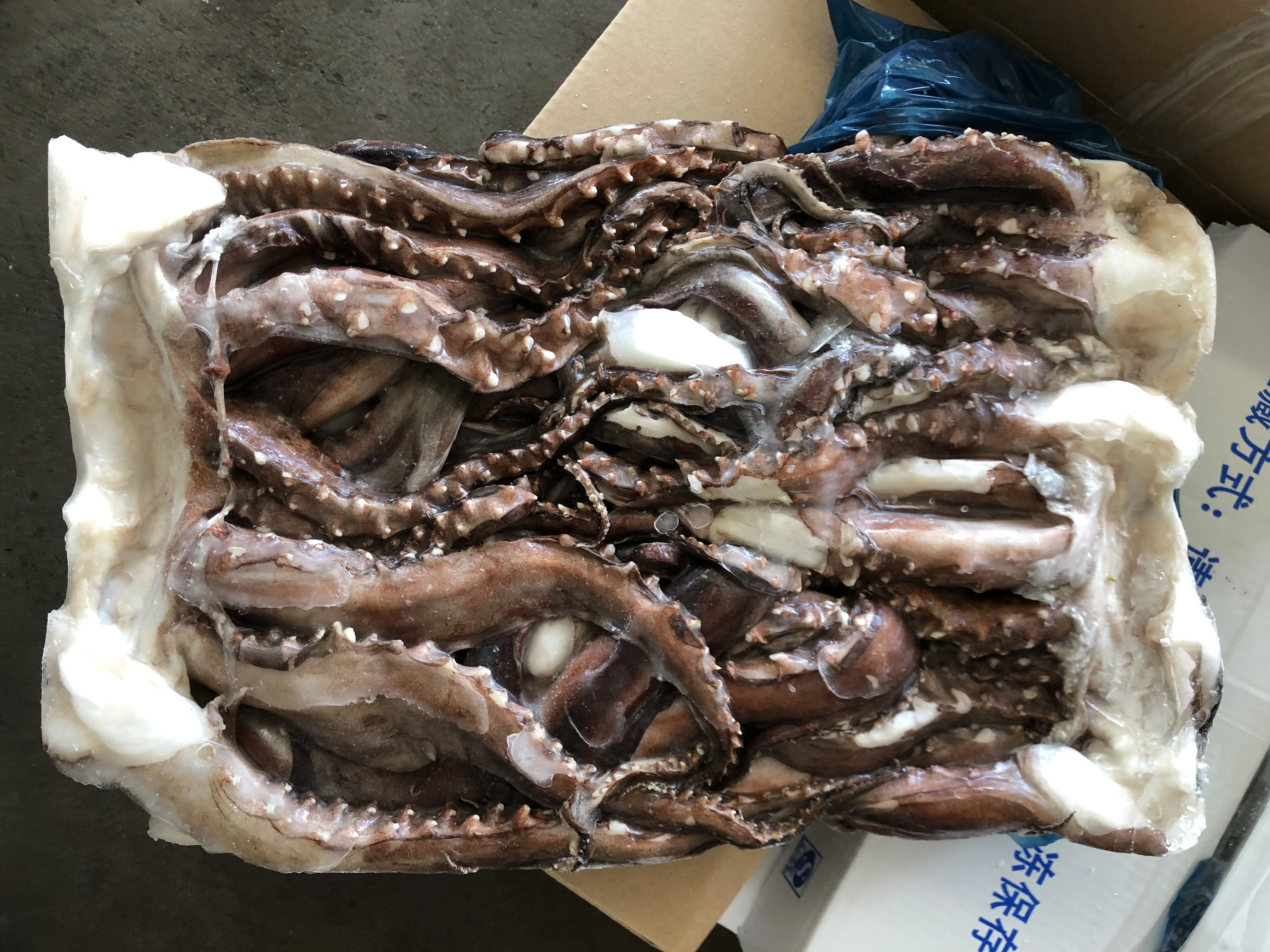 Chinese Seafood Mnufacturer Frozen Squid Tentacles
