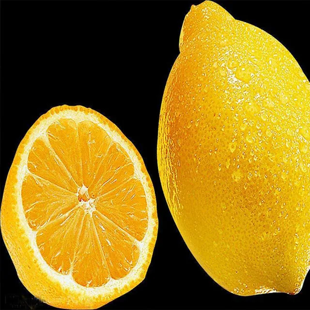 Citric Acid Anhydrous Citric Acid mono Citric Acid sodium Supplier with the best price TOP sale