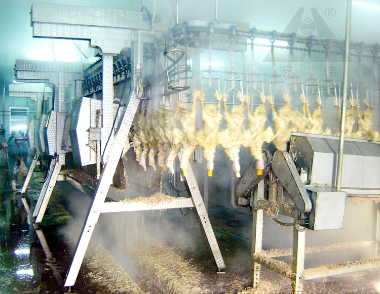 убоя птицы гуся оборудования убоя птицы гусей оборудования