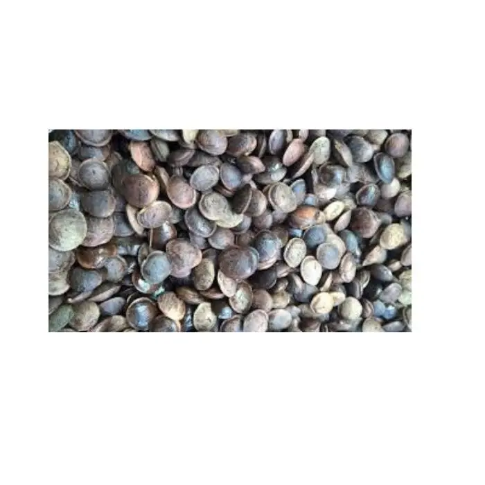 Жареная пена сачи гайка из Вьетнама-масло марки сачи-Хелен + 84 374 288 086