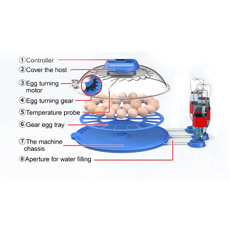 52-Egg Dual Power Automatic Incubator High Hatching Rate with Automatic Hatching Machine 220V New Condition for Chicken Farming