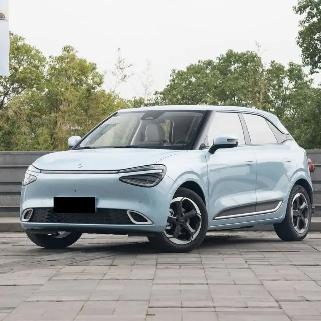 Dongfeng NAMI 01 EV семейный внедорожник высокоскоростной 330/430 км умный нано чистый электрический автомобиль дешевый небольшой Новый энергетический