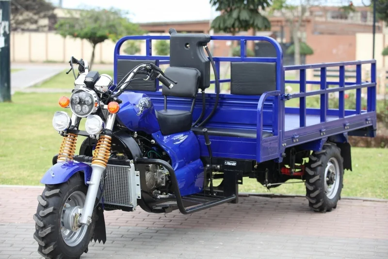 Chinese motorized gas powered three wheel cargo tricycle for farming