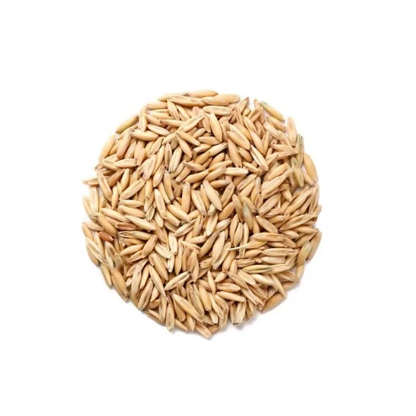 Сушеные зерна овса оптом