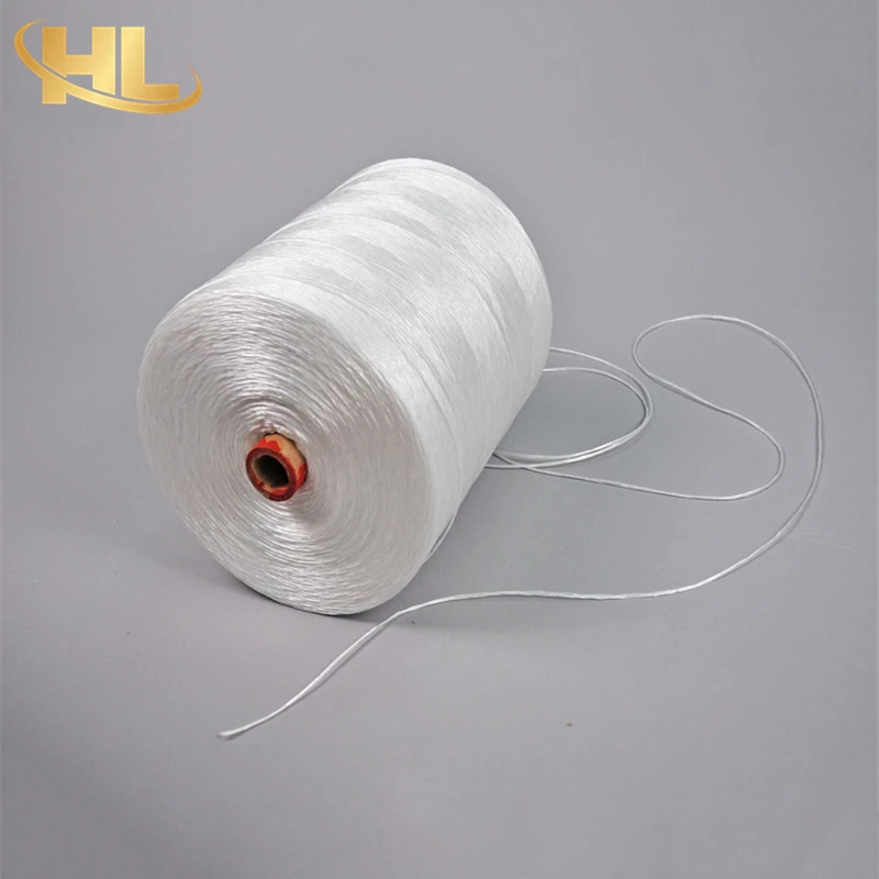 Wuxi Henglong OEM Wholesale UV Treated Agro Greenhouse Horticulture Vegetable Fruit Plastic PP Polypropylene Twine Rope