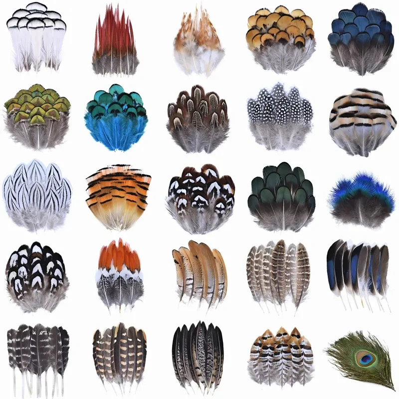 Natural Colorful Wild Chicken Feather Pheasant Duck Feathers For Diy Garment Craft Accessories