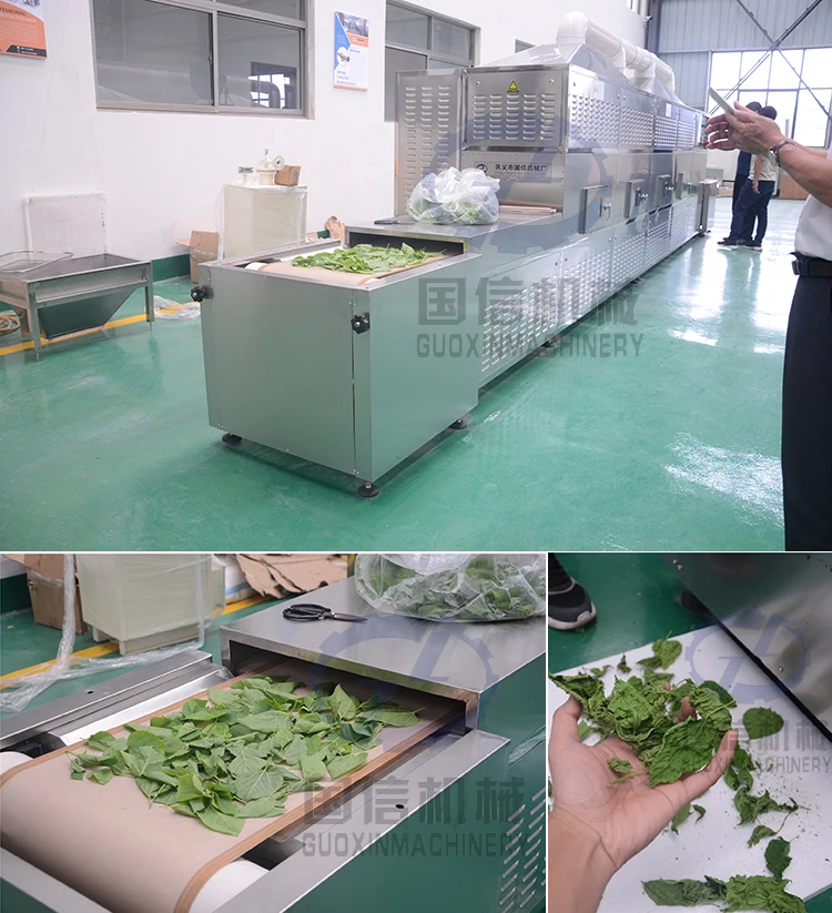 
Licorice Piece Microwave Drying Machine 