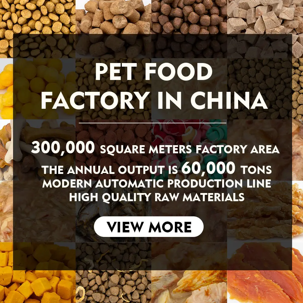 OEM ODM Factory Direct Sale Fast Delivery Complete Nutrition High Protein Healthy Pet Cat Food
