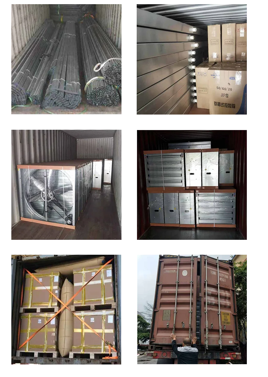 
Singel serre tunnel Agricultural Greenhouses Commercial Greenhouse Cost cheap hemp greenhouse 