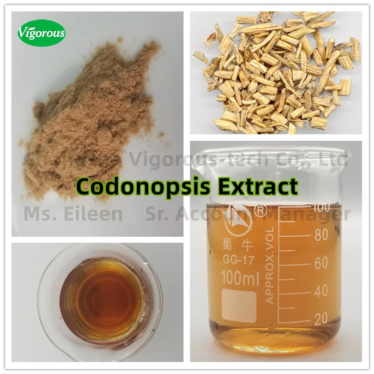 Codonopsis Extract