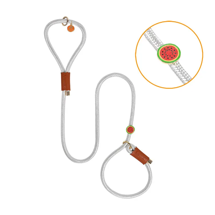 Loudik Wholesale Manufacturer Personalized Stock Western Style Quality Nylon Rope Pet Collar Leads Accessories Luxury Dog Leash