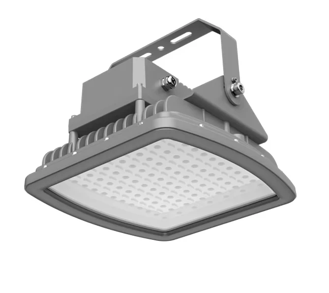 100W Atex Lights For Hazardous areas Explosion Proof Lights C1D2  Zone1 Zone2 Zone21 Zone22 20W-200W Ex LED light