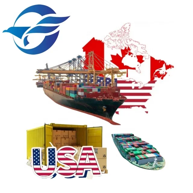 High Qualified Forwarder Company Sea Freight DDP Shipping Fast Delivery Shipping to USA Canada