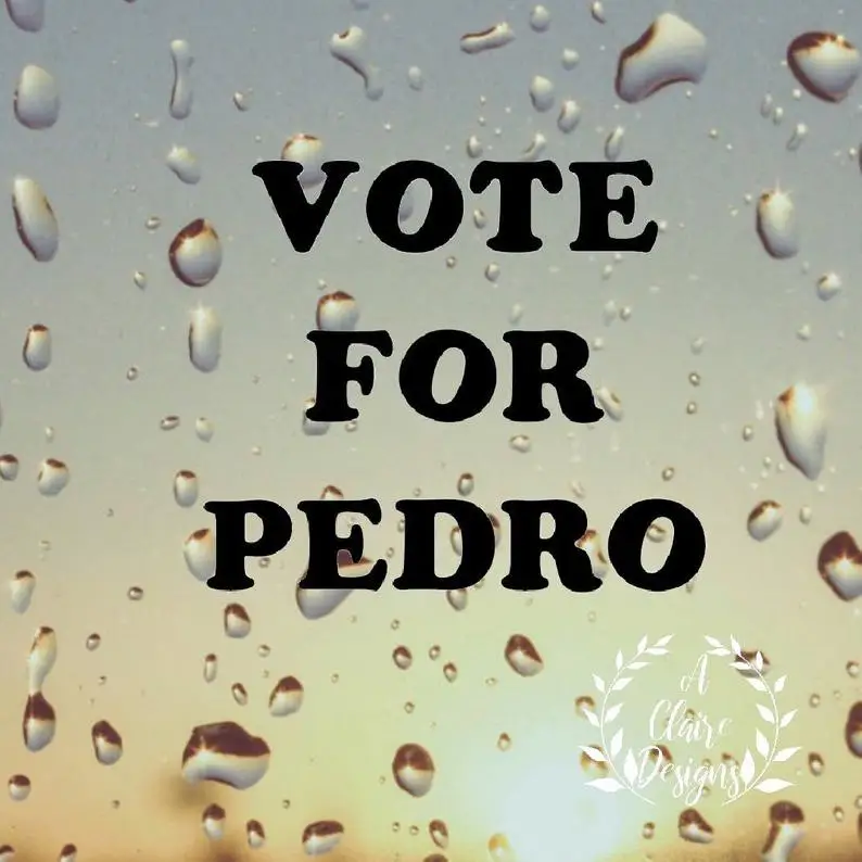  Vote for Педро белый виниловый стикер для окна автомобиля