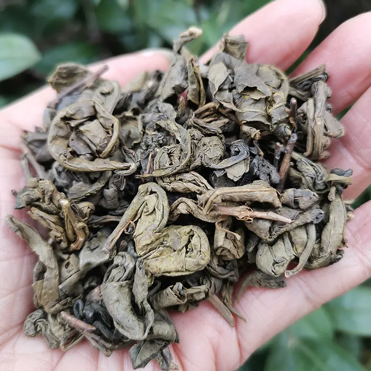 Te Verde Organic Leaf Special Gunpowder Price Green Tea Leaves In Uzbekistan Turkmenistan Afghanistan