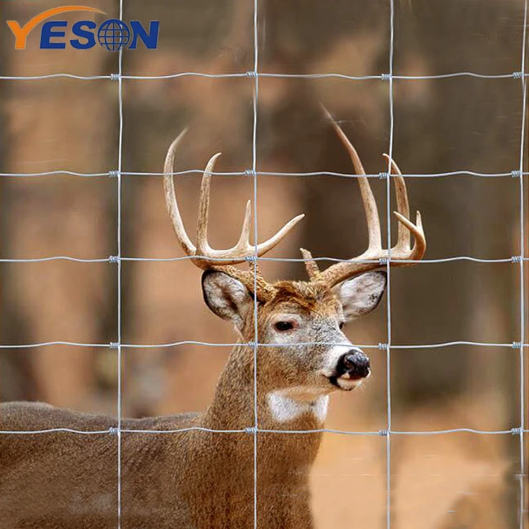 Grassland Filed Cattle Horse Cow Animal Farm Wire Mesh Fence with Y T Post