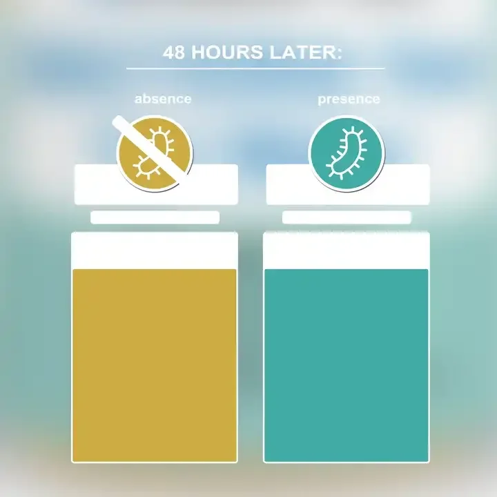 E. coli Water Test Powder Fast Test Escherichia Test