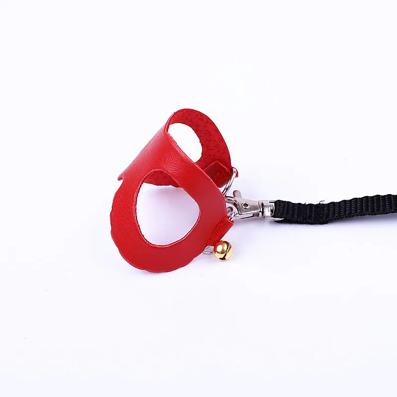 Wholesale small animal sugar glider lizard outside accessories harness vest leash