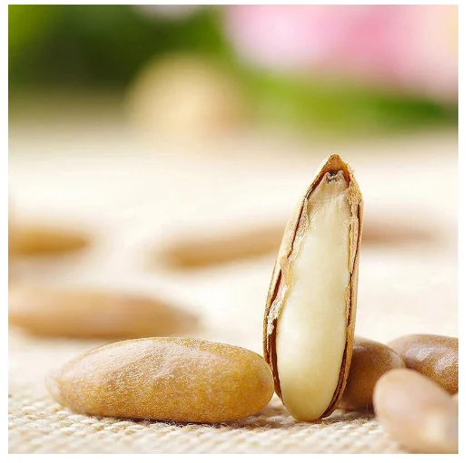 Seeds Raw Cedar Roasted Kernels Pine Nut Without Shell Pine Nuts Dried Fruit Red Pine Nuts