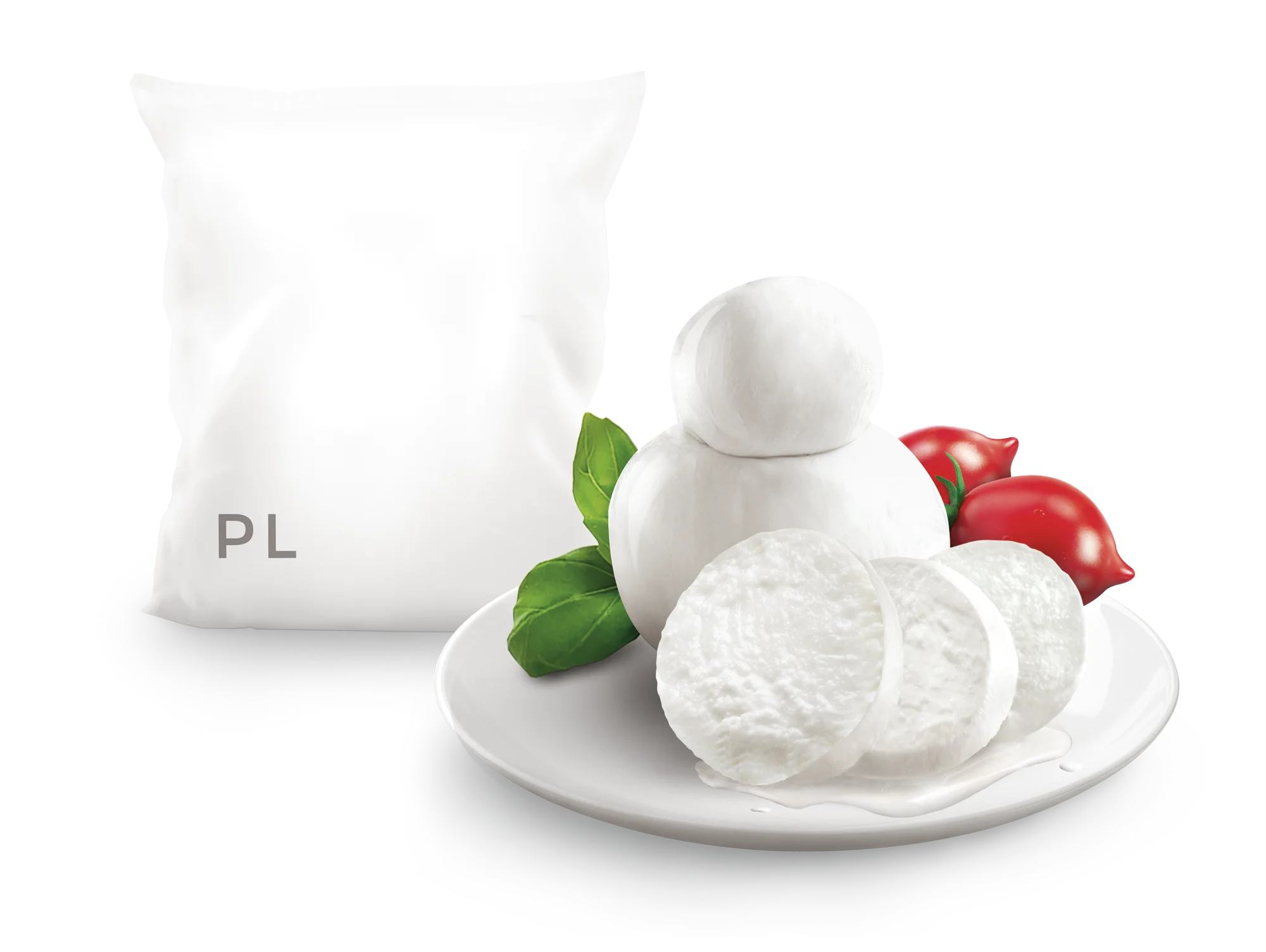 Hot Sale Italian Premium Mozzarella Fresh Cheese Plain Processed Cheese for Export Private Label