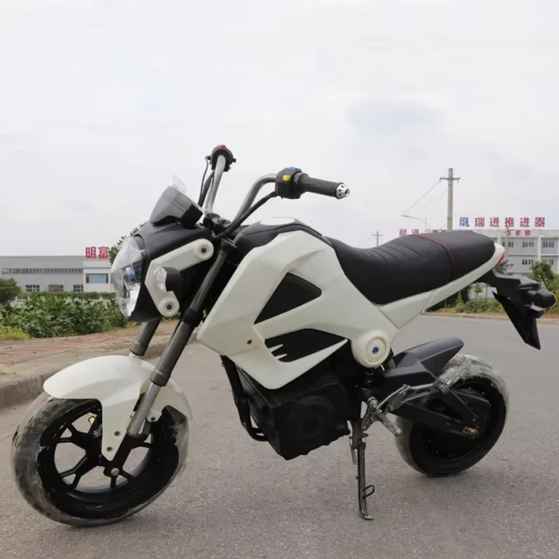 EEC 1500W 3000W Lead-Acid Battery Electric Dirt Bike Adult Electric Motorcycles Fast Speed Sports Racing Electric Motorcycles