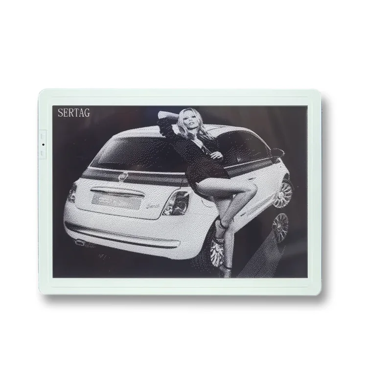 
Colors E-Paper Display Electronic Price Shelf Label For Food Shop 