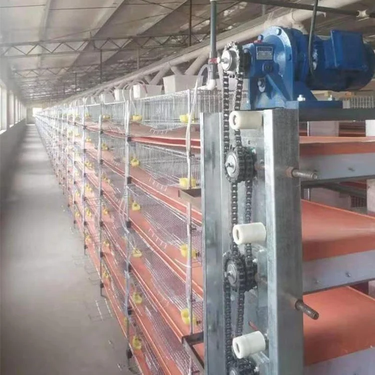 Automatic/manual Design Battery Commercial Quail Breeding Cage