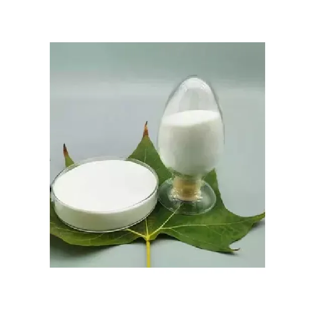 HPMC Chemicals for Waterproof Mortar Additive Chemicals