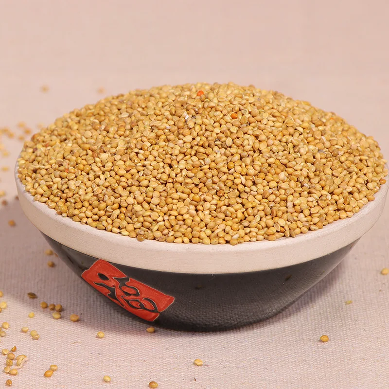 The new crop is native to Yellow Broomcorn Millet and which can be used as food for birds