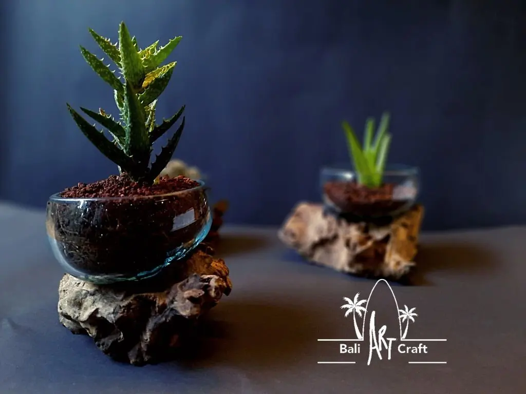 Driftwood Molten Glass Terrarium Aquarium Garden Supplies Decorative Half Open Bottle Terrarium Wholesale Supplies Plant