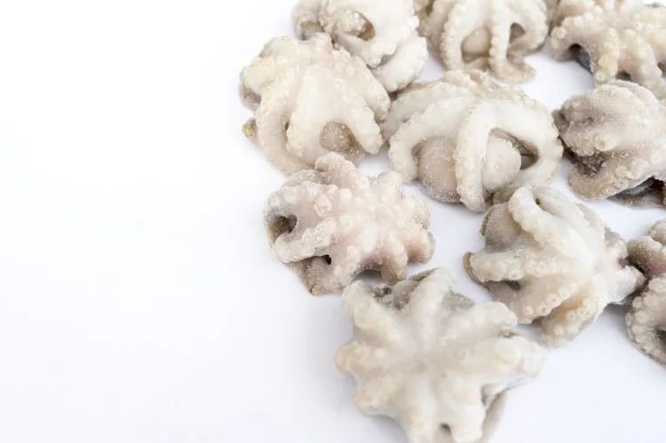 Factory wholesale little octopus nutritious vitamins frozen octopus