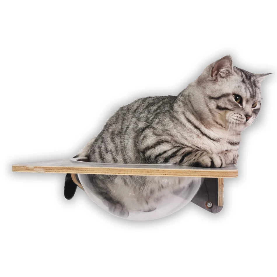 Cat Wall Hammock Stylish Floating Kitten Shelf Diy Suspension Kitty Perch For Large And Multiple Indoor Cat