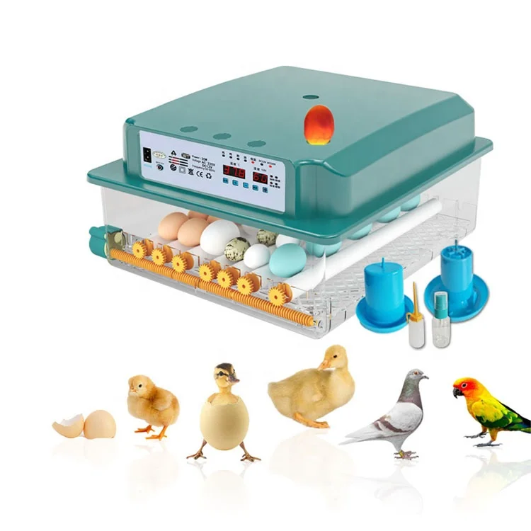 Hot selling chicken egg incubator 36 capacity hatching machine with turner motor incubator fully automatic for sale in ghana