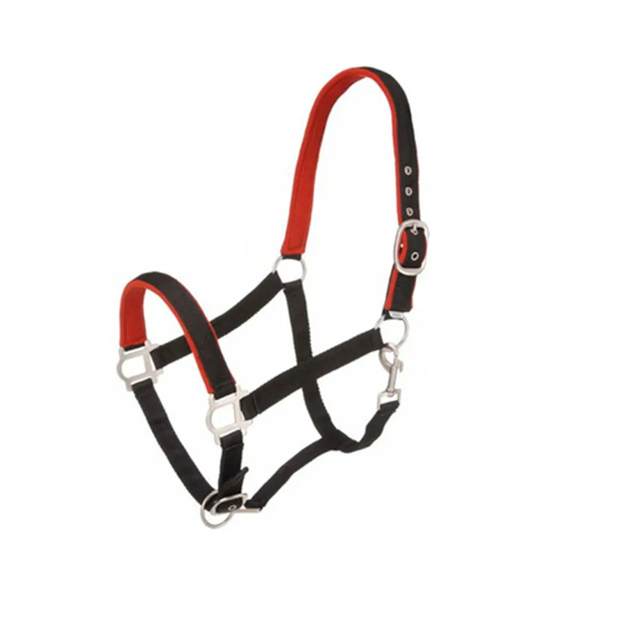 Equestrian Equipment Webbing Rainbow Horse Halter with hardware