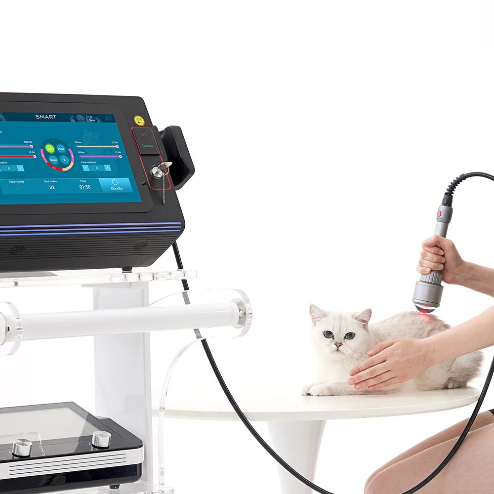 Class IV 635nm 810nm 915nm 980nm Deep Tissue Laser Therapy Machine For Animals Pain Relief