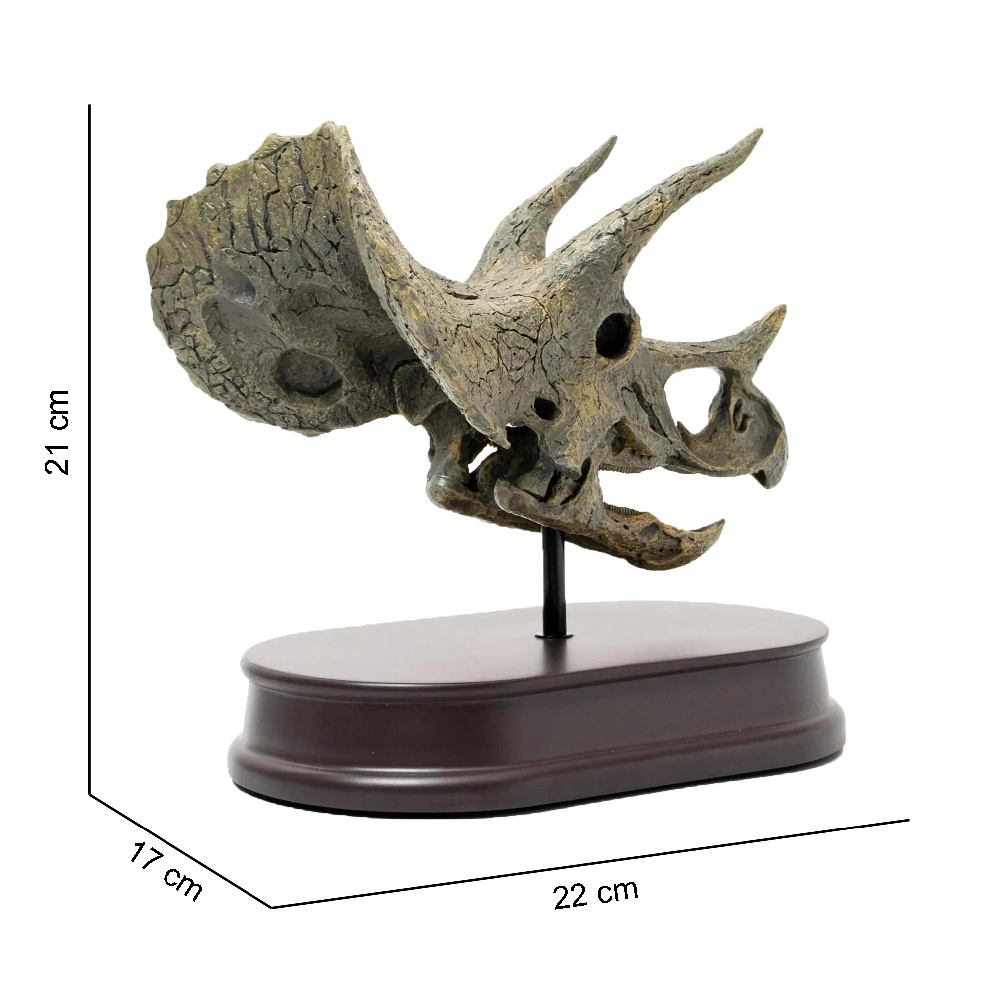Индивидуальный Скелет динозавр трехмерный череп украшение головы животного