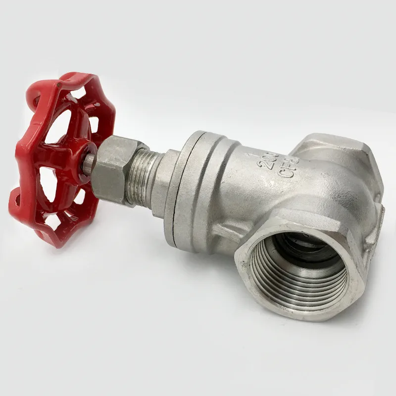 NPT Threaded End 304 316 Stainless Steel Gate Valve