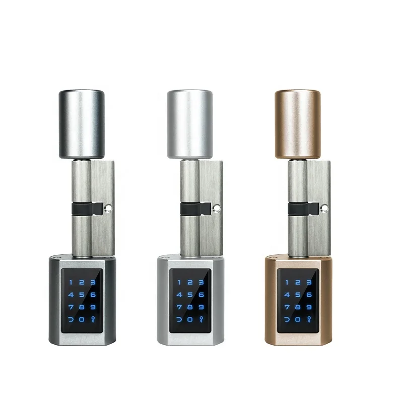 Waterproof Door Cylinder Lock Silver Grey Gold Color BLE Password Digital  Electric Mortise Ttlock APP Cylinder Smart Lock