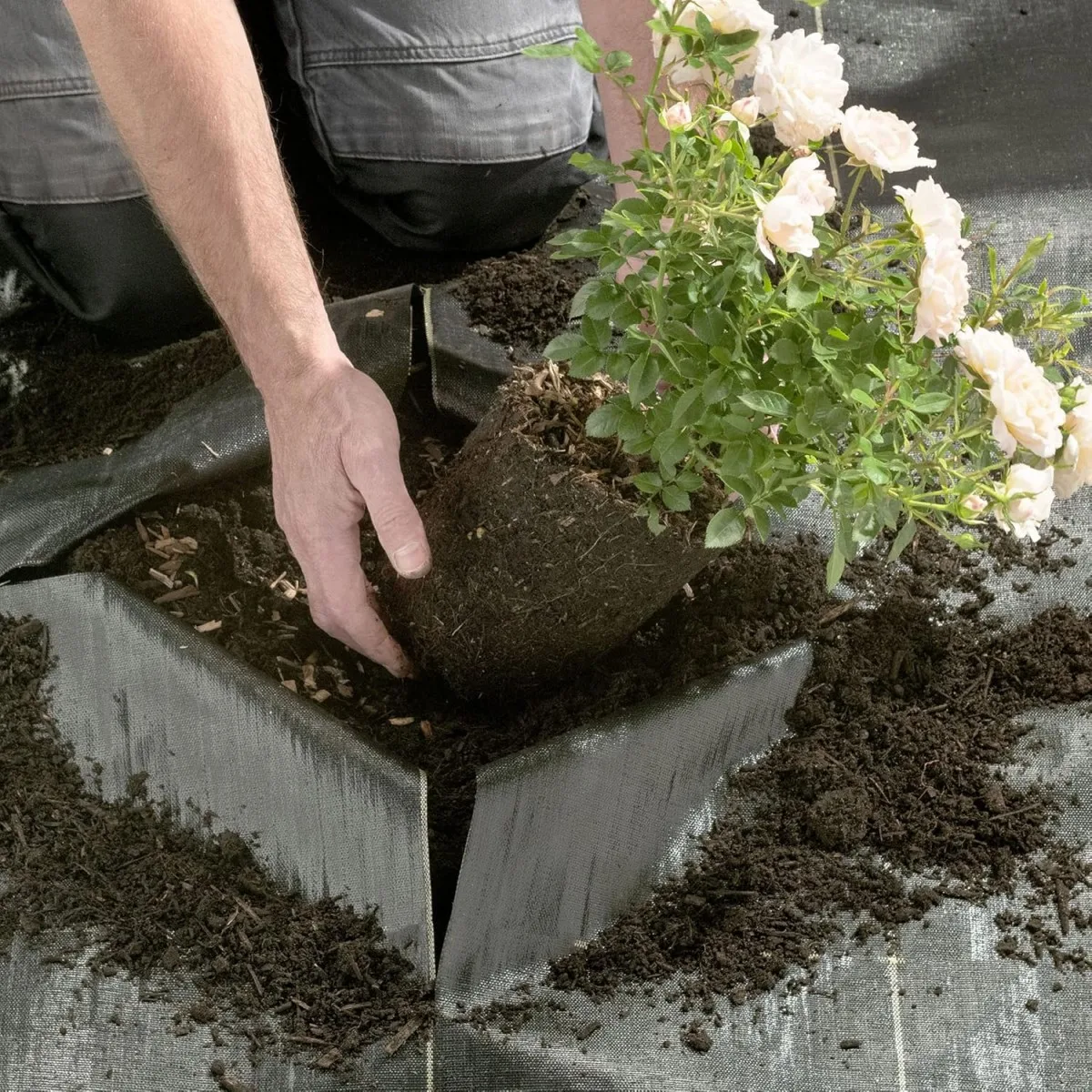 10-15 Years Warranty Outdoor Gardening Weed Control Mat Sturdy Greenhouse Agro Landscape Fabric
