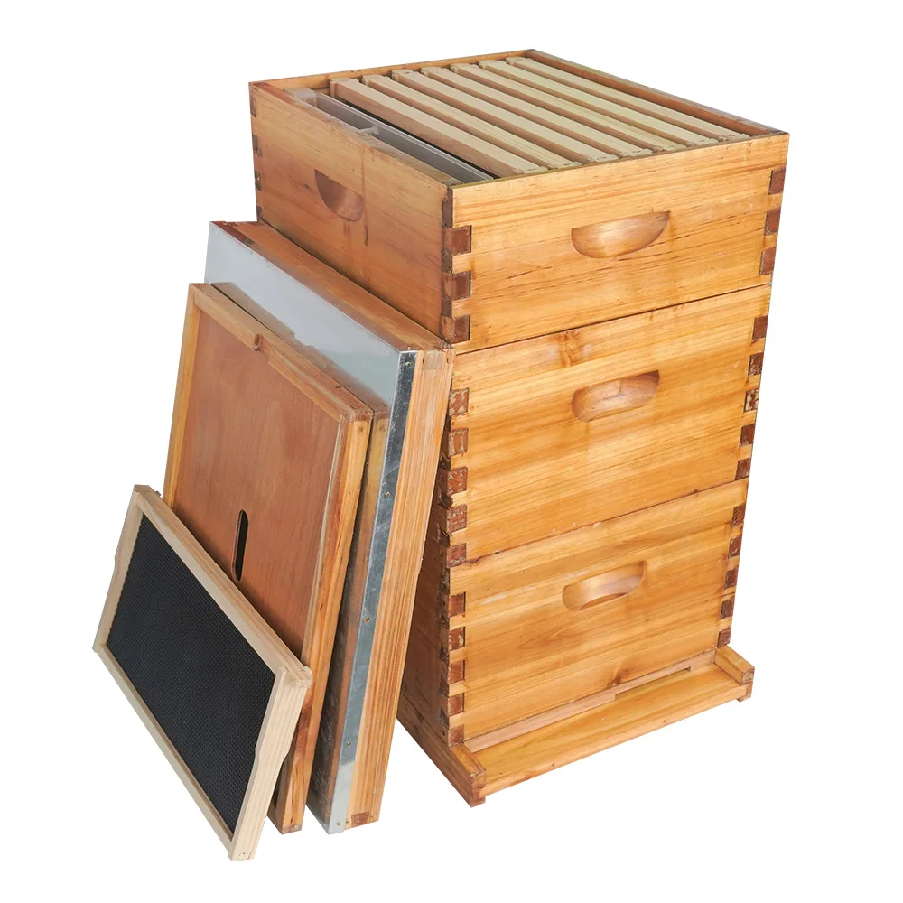 Honey Beekeeping Equipment High Quality Cheap Price 10 Frame Langstroth Wax Coated Bee Hive Langstroth Beehive