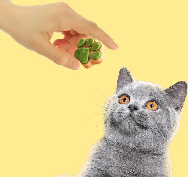 Quick Frozen Fresh Locked Pet Snacks with Rich Nutrition for Dogs and Cats