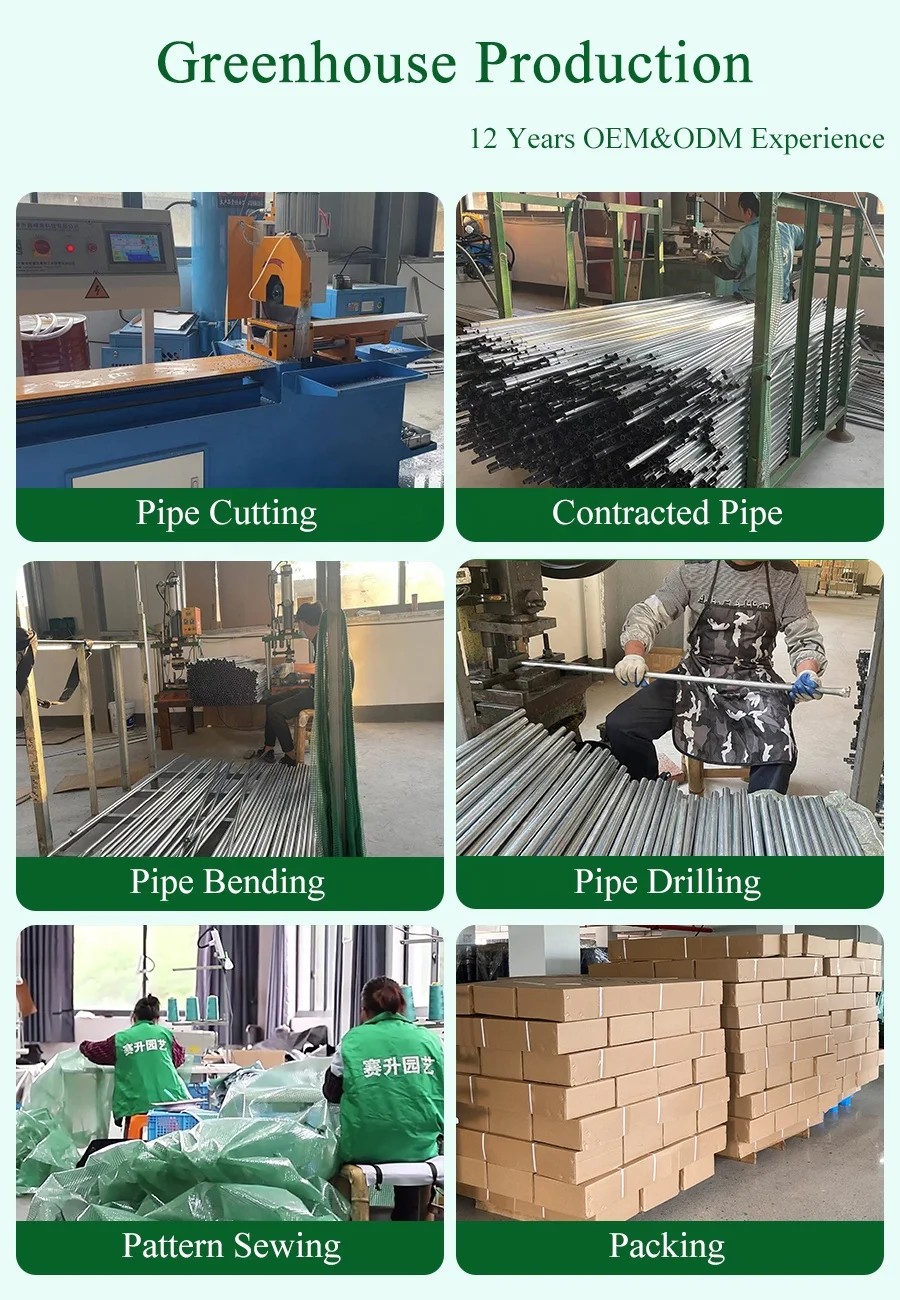 Rodent Proof Greenhouse China Commercial Low Cost Single Tunnel Greenhouses Custom Plastic Film Greenhouse for Flowers Planting