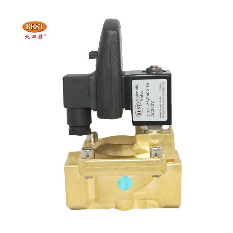 Valve Z101 Solenoid control timer valve