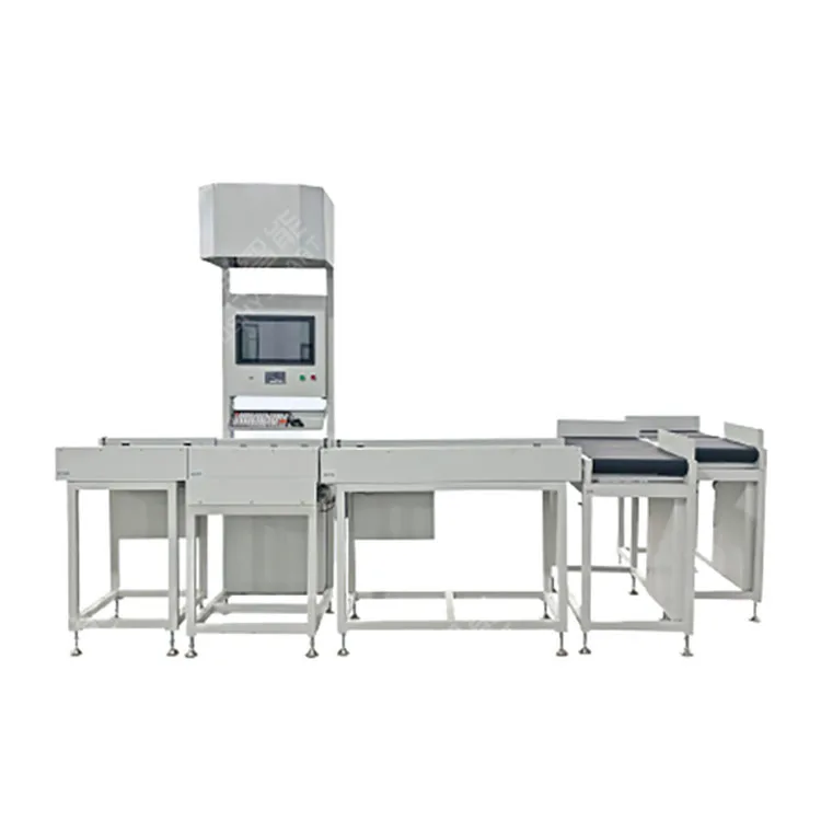 Dws System Cubiscan Parcel Sorting System Dimensioning Weighing Scanning Machine For Warehouse Logistic