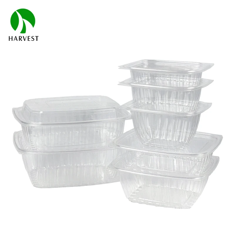 Disposable plastic square hot sale fast food box for takeaway