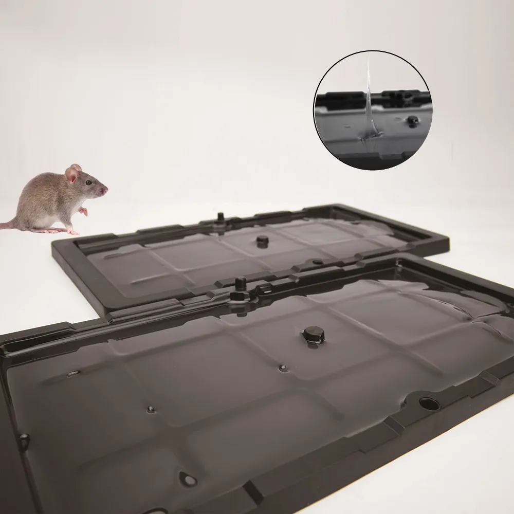 New products most popular mice sticky pest control mouse traps Rat Glue trap