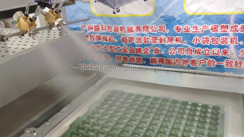 Заводская ручная пластиковая пищевая коробка вакуумная Термоформовочная Машина