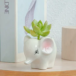 6 шт набор мелких животных сочные керамический цветочный горшок для домашнего украшения интерьера